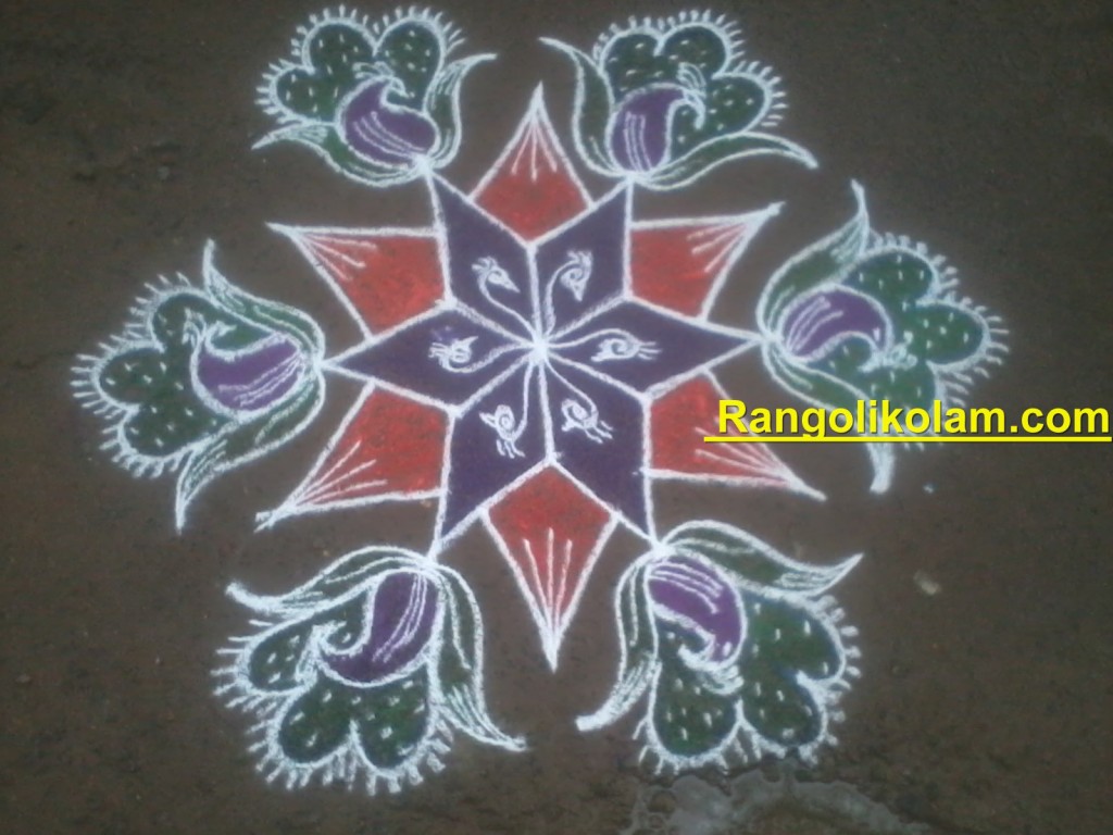 peacock kolam filled with different colours