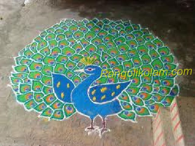 peacock rangoli